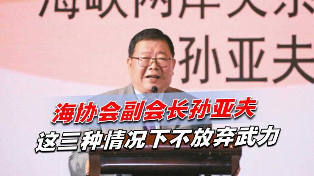 和统还是武统?海协会副会长孙亚夫:这三种情况下不放弃武力