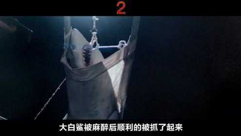 《大白鲨3》下：黑心老板为了赚钱，把小鲨放水池展览却被致死，母鲨为子前来寻仇
