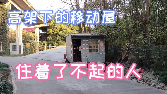 上海郊区外环高架,道路养护人员虽居住条件简陋,却用心呵护道路