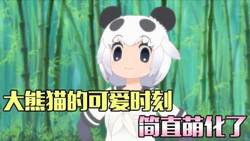《兽娘动物园第2季》盘点大熊猫的呆萌时刻，简直可爱到爆！