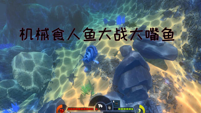 海底大猎杀:机械食人鱼大战大嘴鱼和海豚