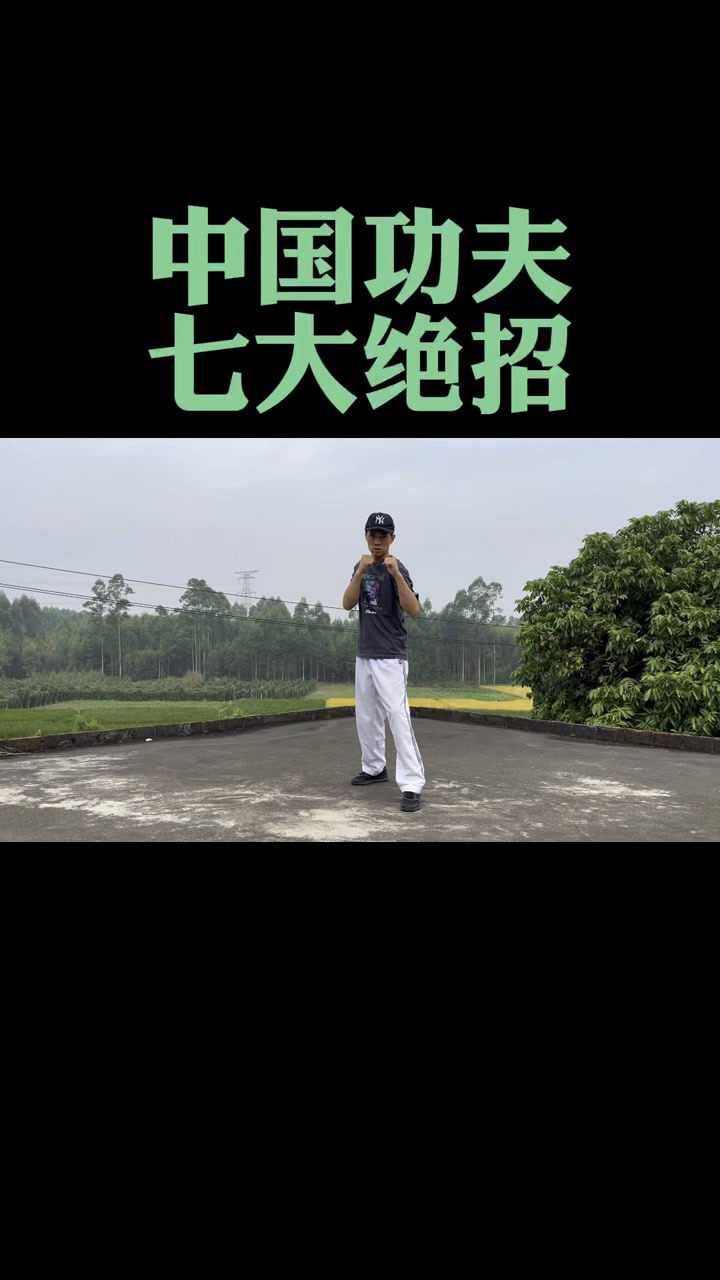 中国功夫七大绝招