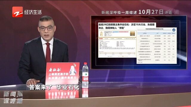 起底28亿担保案主角涉足10大行业执着蹭央企