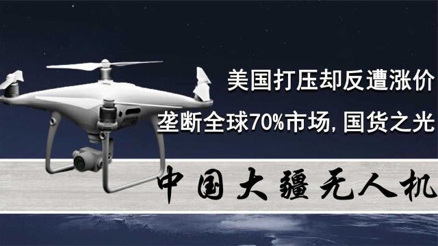 中国大疆无人机:美国打压却反遭涨价,垄断全球70%市场,国货之光