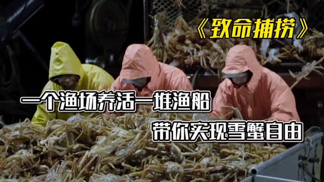 纪录片《致命捕捞》:一个渔场养活一堆渔船,带你实现雪蟹自由