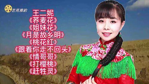 王二妮经典歌曲欣赏!
