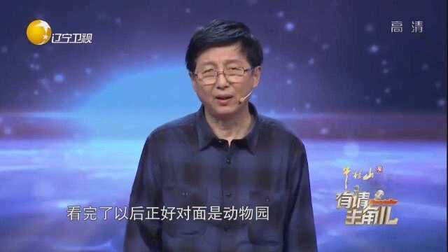 “点子大王”辞去国企工作,自主创业,一天进账几十万丨有请主角