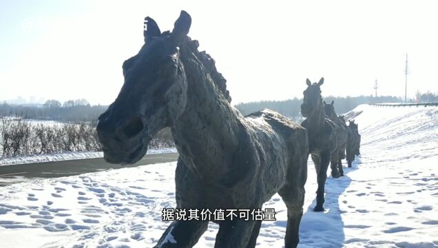 长春北湖湿地公园 雪地惊现“八骏图” 其《万马奔腾》价值不可估量