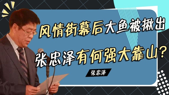 数祖忘典打造风情街?“幕后大鱼”终被揪出!张忠泽有何强大靠山