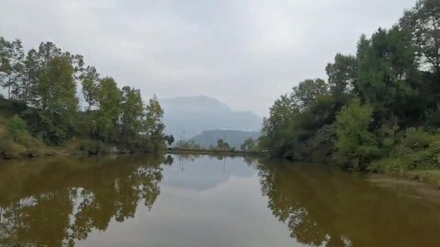 葬在这个山头的坟墓风水,兄弟姊妹全部发迹,这样的好风水值得学习