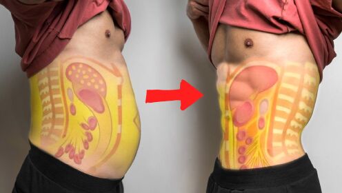 视频：如何3步减掉内脏脂肪(含详细攻略)