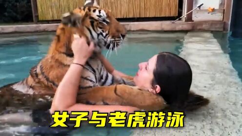 女人养老虎作为宠物，跟它在泳池里游泳，看着既羡慕又害怕