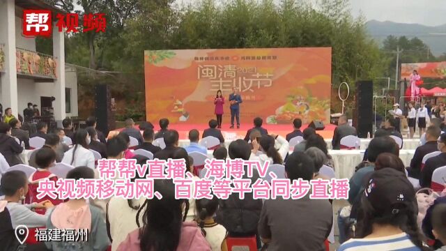 闽清县桔林乡庆丰收,邀您前来采摘柑桔