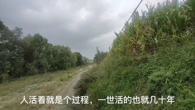 这是俺家乡冬天的景色,同样的清水河,却又不一样的风景.