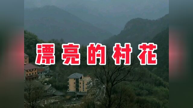 民间故事《漂亮的村花》