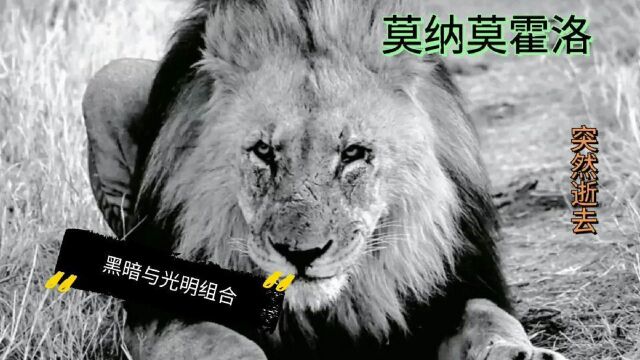 西北雄狮联盟,光明与黑暗组合,莫纳莫霍洛逝去,伤感!