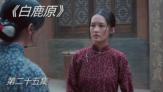 《白鹿原》25,小伙为了逃命丢下媳妇结果媳妇却被抓起来受尽屈辱!#好片推荐官#