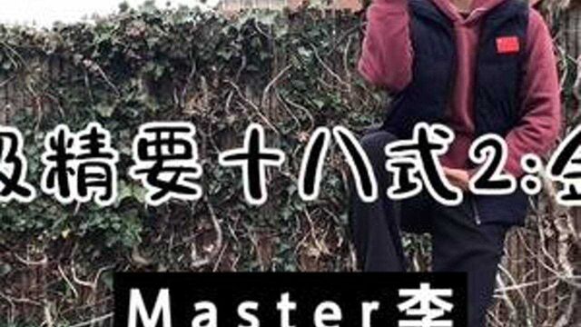 陈氏太极精要十八式2:金刚倒锥