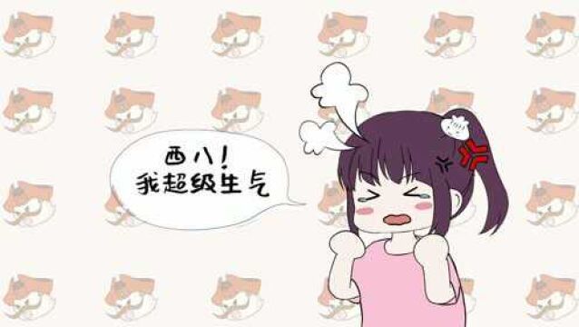 【金贡】到底是什么,让翻译姐姐大声西八?