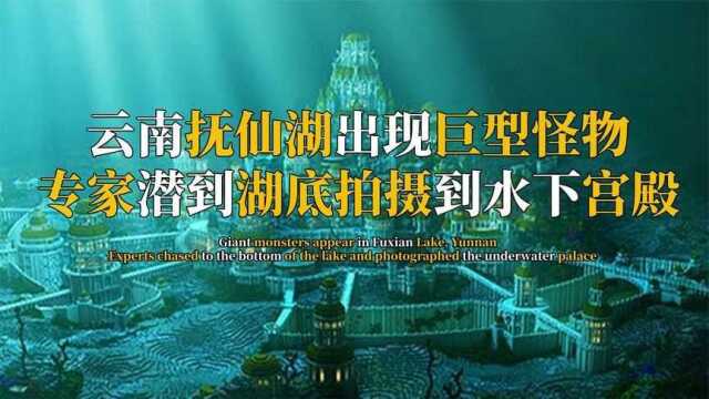 云南抚仙湖出现不明怪物,专家冒险追到湖底,却发现千年水下之城