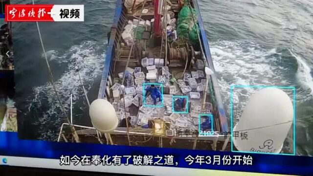 奉化实现辖区外海渔船网络全覆盖,“浙里甬惠渔”数字化平台成为渔民“好帮手”