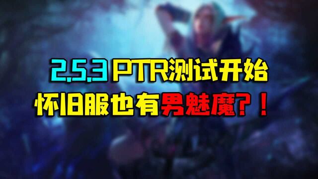 魔兽世界怀旧服 2.5.3 PTR测试开始,怀旧服也有男魅魔?