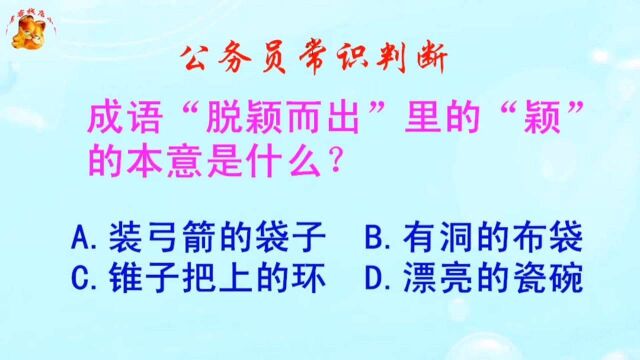 公务员常识判断,脱颖而出里的“颖”的本意是什么?长见识啦