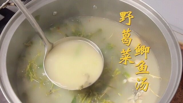 用一碗「野葛菜鲫鱼汤」,来迎接干燥的冬日吧