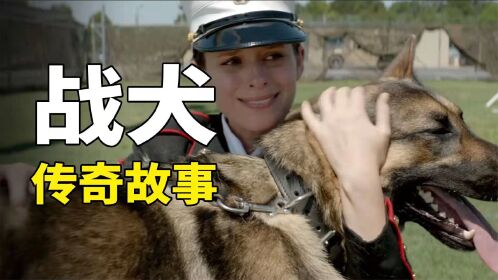 女兵与军犬超越人宠情的羁绊!一部人狗情深的电影《战犬瑞克斯》