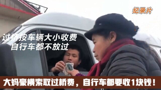 大妈在桥头设收费站,小车5块大车20:此桥是我建!