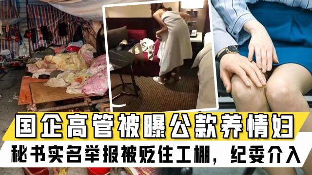 国企高管被曝养情妇公款消费,秘书实名举报被贬工地住工棚,纪委已介入