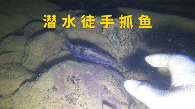 小廖想为家里备年货,咬牙抗寒潜下冰冷的水里抓鱼,只为换点猪肉