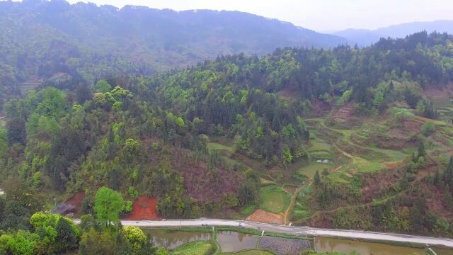 少见的风水宝地,此种形状的宝地不是绝无仅有,但也非常难得一见