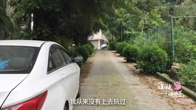 广东东莞:实拍虎门沙角青年公园,路上这么厚落叶多久没人来了