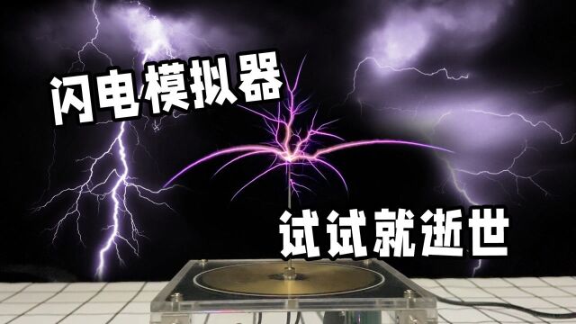 神奇的闪电制造器,在家也能和大自然亲密接触,小伙全程嚎叫