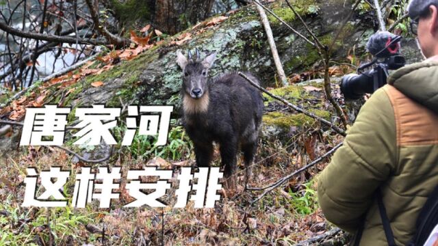 四川唐家河值得多次前往,聊聊我对这里的游玩建议,以及住宿推荐