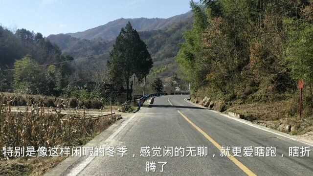 一次非常有意义的冒险,去秦岭高山的无人区看景