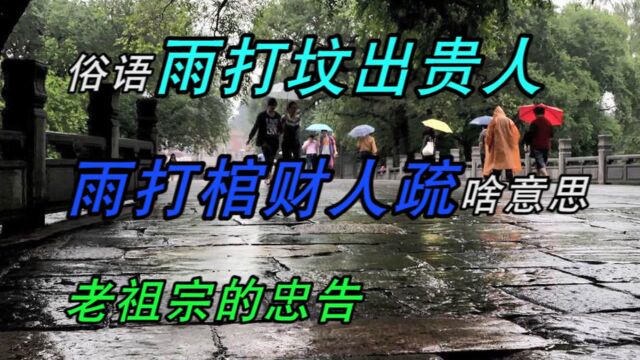 俗语,雨打坟,出贵人,雨打棺,财人疏啥意思,老祖宗的忠告