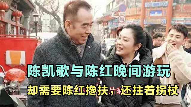 69岁名导陈凯歌身体令人担忧,出行靠陈红搀扶,拄拐杖有司机跟随