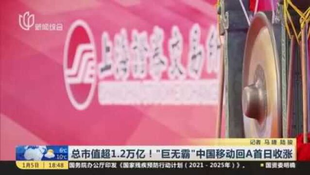 总市值超1.2万亿!“巨无霸”中国移动回A首日收涨