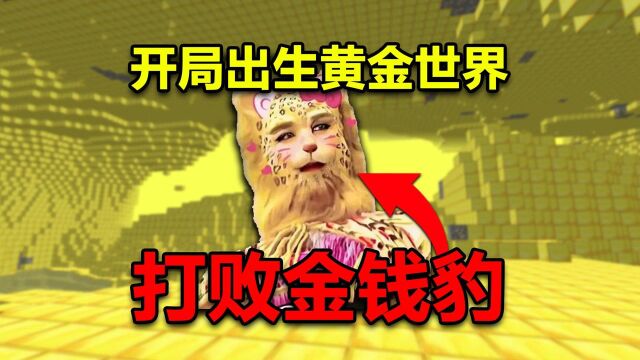 我的世界:开局出生在黄金世界!如何打败金钱豹?