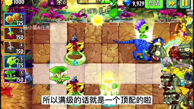 PVZ2揭秘:白嫖68片山竹碎片!礼包兑换码还是庄先森专属?