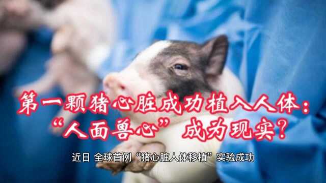 第一颗猪心脏成功植入人体:“人面兽心”成为现实?