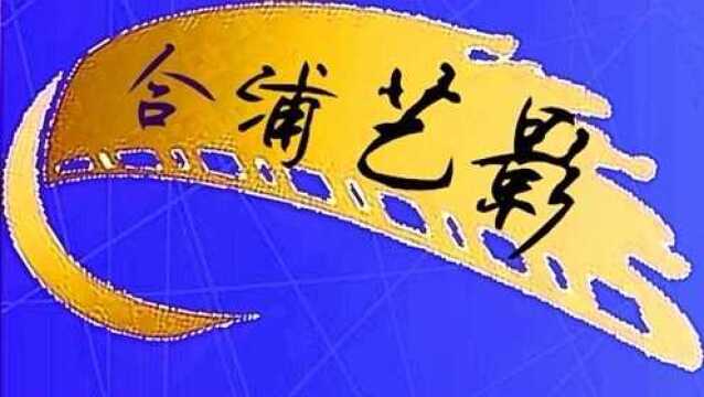 合浦县公安抓捕涉嫌诈骗犯罪嫌疑人