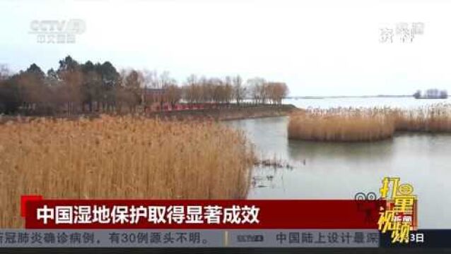 中国湿地保护取得显著成效