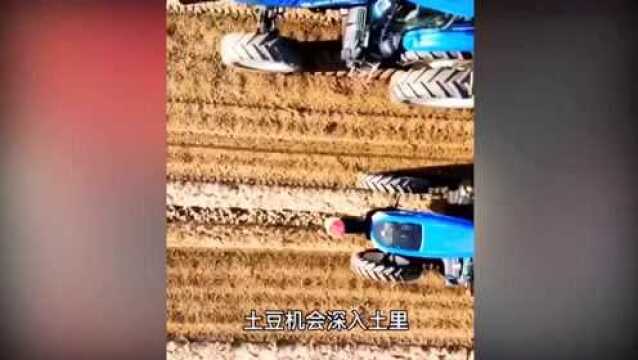 华人实拍美国农民种地,农业强国实至名归