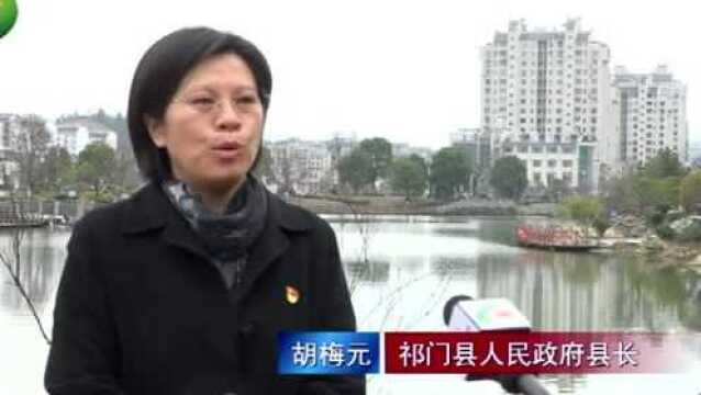 【区县一把手访谈】胡梅元:高质量建设“世界红茶之都 美丽康养祁门”