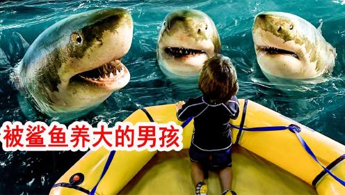 男孩被鲨鱼养大，竟然长出了鱼鳃和锋利的牙齿，成了鲨鱼王！