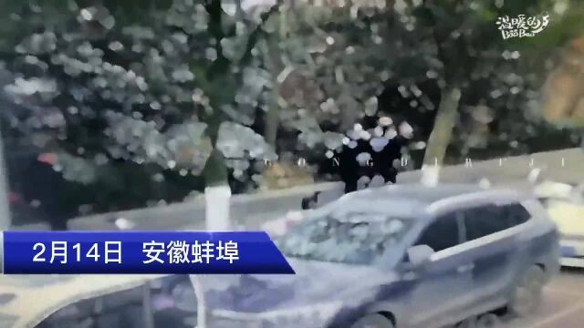 为还网贷竟谎称儿子死亡 蚌埠警方刑拘一诈骗犯罪嫌疑人