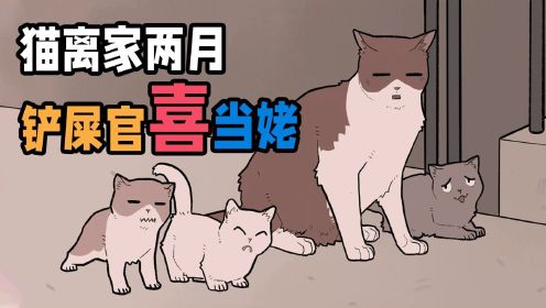 [图]离家两个多月的猫咪，拖家带口的回来了，铲屎官喜当姥~